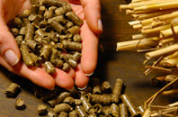 free Sand Gate biomass boiler quotes